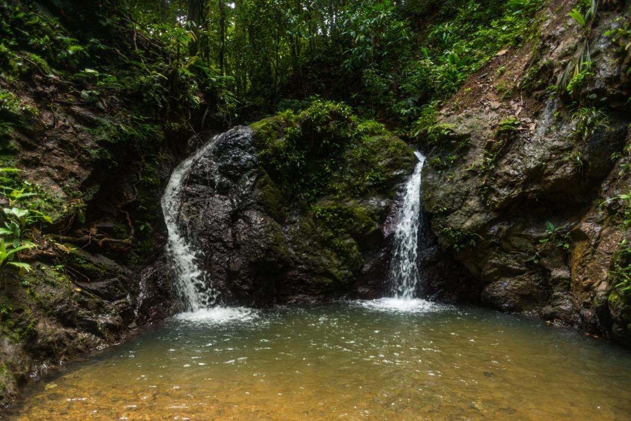 Hotel Clau Nuqui Luaran gambar